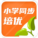 🚨WNBA重磅交易：神秘人將頭號得分手賽克斯交易至風暴！